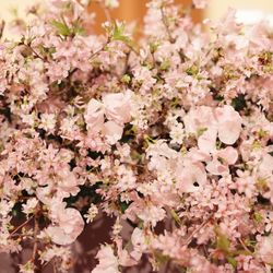 ホテル雅叙園東京の写真12枚目