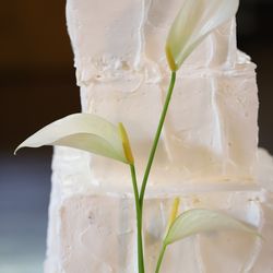 重要文化財 自由学園明日館の写真34枚目