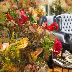 ノベル心斎橋の写真14枚目