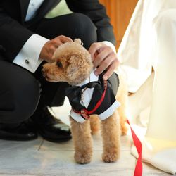 表参道TERRACEの写真36枚目