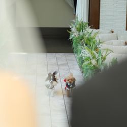 表参道TERRACEの写真32枚目