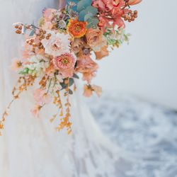 メゾン プルミエールの写真23枚目