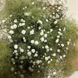 ヒルズスィーツ宇都宮ブリーズテラスの写真19枚目