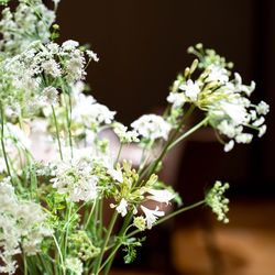 パレスホテル東京の写真28枚目