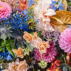 表参道TERRACEの写真17枚目