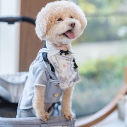 表参道TERRACEの写真25枚目