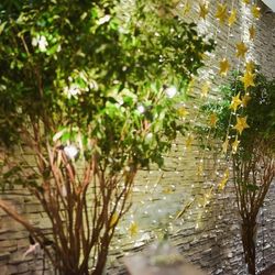 リッツファイブの写真26枚目