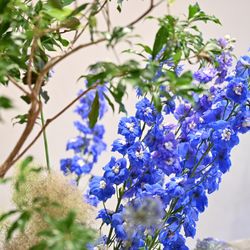 TRUNK HOTELの写真27枚目