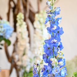 TRUNK HOTELの写真14枚目