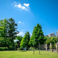 CUCINA Paginaの写真2枚目