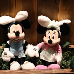 クアンティックの写真35枚目