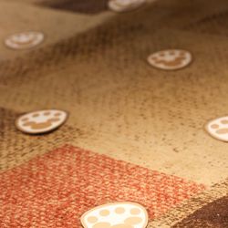 クアンティックの写真26枚目