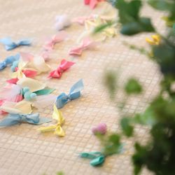 クアンティックの写真24枚目