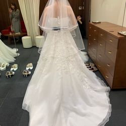 ザ・ミーツ マリーナテラスの写真28枚目