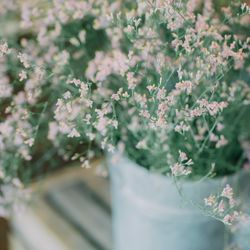 ラ・クラリエールの写真11枚目