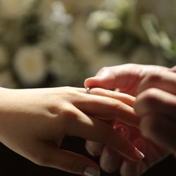 カールトンテラスの写真1枚目