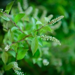 パレスホテル東京の写真30枚目