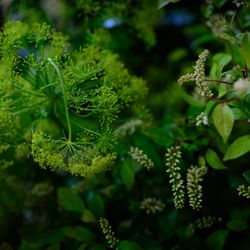 パレスホテル東京の写真5枚目