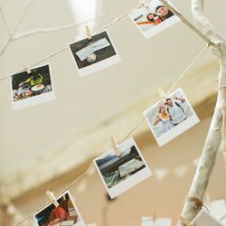 BARN＆FOREST148の写真4枚目