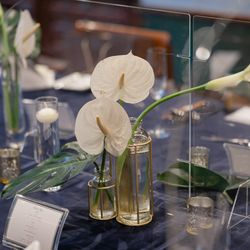 The Place of Tokyoの写真21枚目