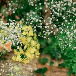 The Place of Tokyoの写真24枚目