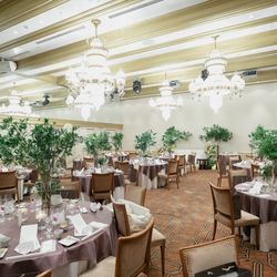 The Place of Tokyoの写真19枚目