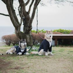 ラフィーノオーシャンの写真17枚目