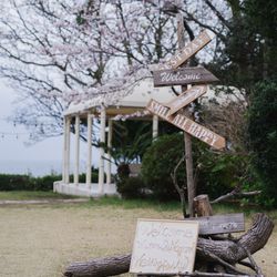 ラフィーノオーシャンの写真9枚目