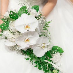 ラソールガーデン大阪の写真20枚目