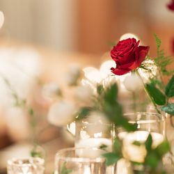 ラソールガーデン大阪の写真21枚目