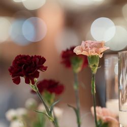 ラソールガーデン大阪の写真20枚目