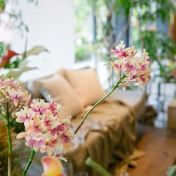 ザ・ガーデンオリエンタル大阪の写真26枚目