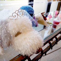 アニヴェルセル 神戸の写真12枚目