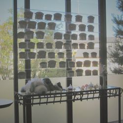 アニヴェルセル 神戸の写真31枚目