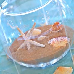 マウロ・アネーラの写真29枚目