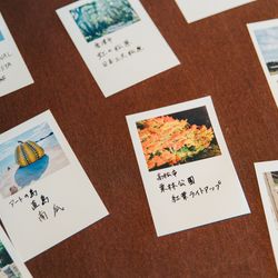 TOASTの写真11枚目