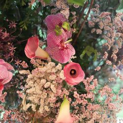 ザ・ガーデンオリエンタル大阪の写真25枚目