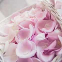 グランドプリンスホテル高輪 貴賓館の写真28枚目