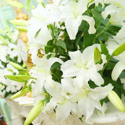 ハウステンボスの写真29枚目