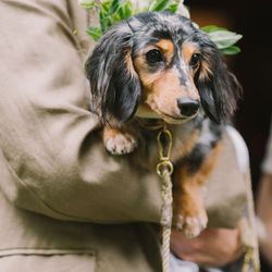 古我邸の写真1枚目