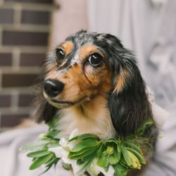 古我邸の写真28枚目