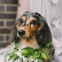 古我邸の写真12枚目