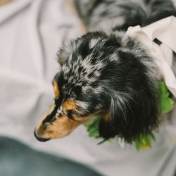 古我邸の写真19枚目