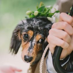 古我邸の写真4枚目