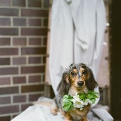 古我邸の写真8枚目