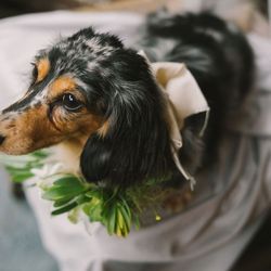 古我邸の写真2枚目