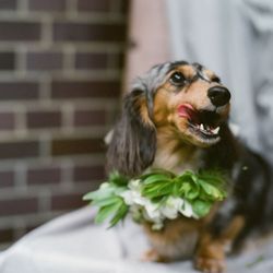 古我邸の写真26枚目
