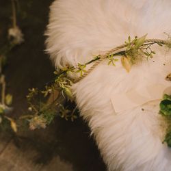 古我邸の写真1枚目