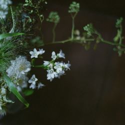 古我邸の写真28枚目
