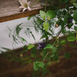 古我邸の写真32枚目